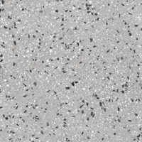 Iron Sand